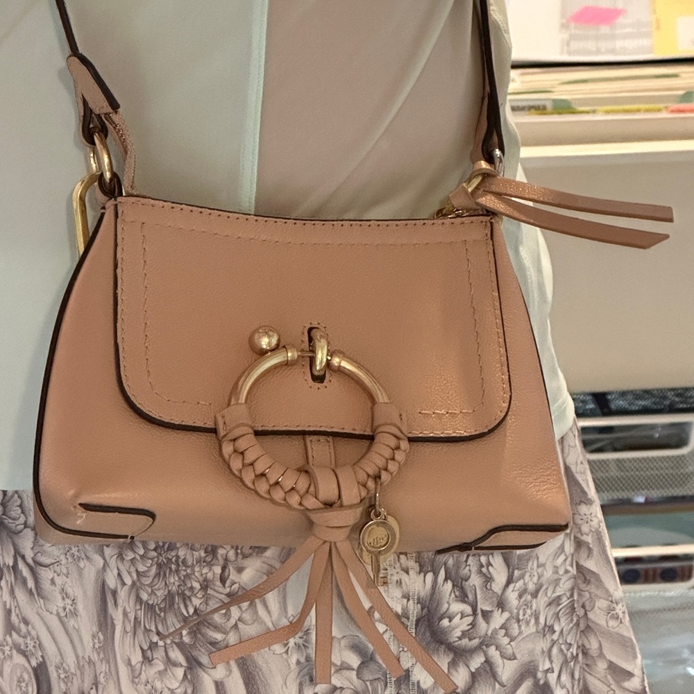 Genuine See by Chloe Cross-body purse